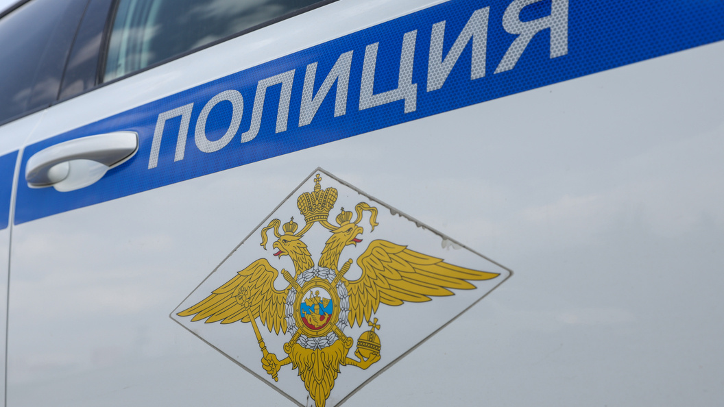    фото: Petrov Sergey/news.ru