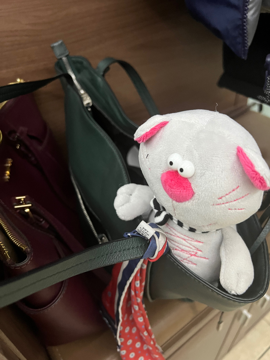 Знакомьтесь, Пирожок!