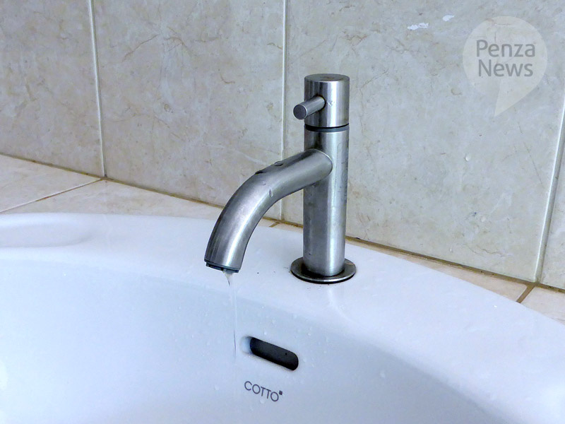    © Фото из архива ИА «PenzaNews»