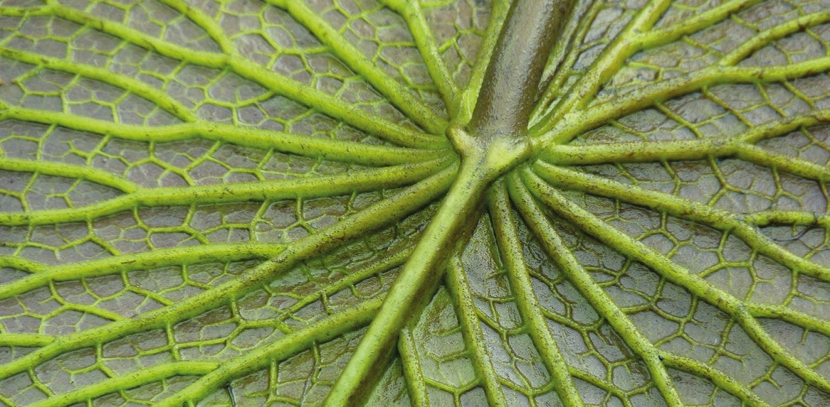 
Фото: wirestock на Freepik