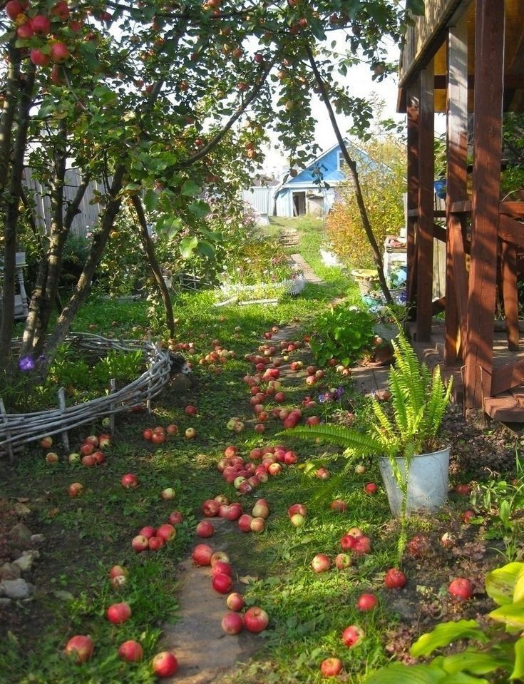 Яндекс картинки