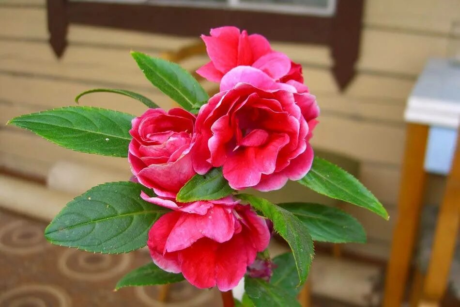 фото из открытых источников