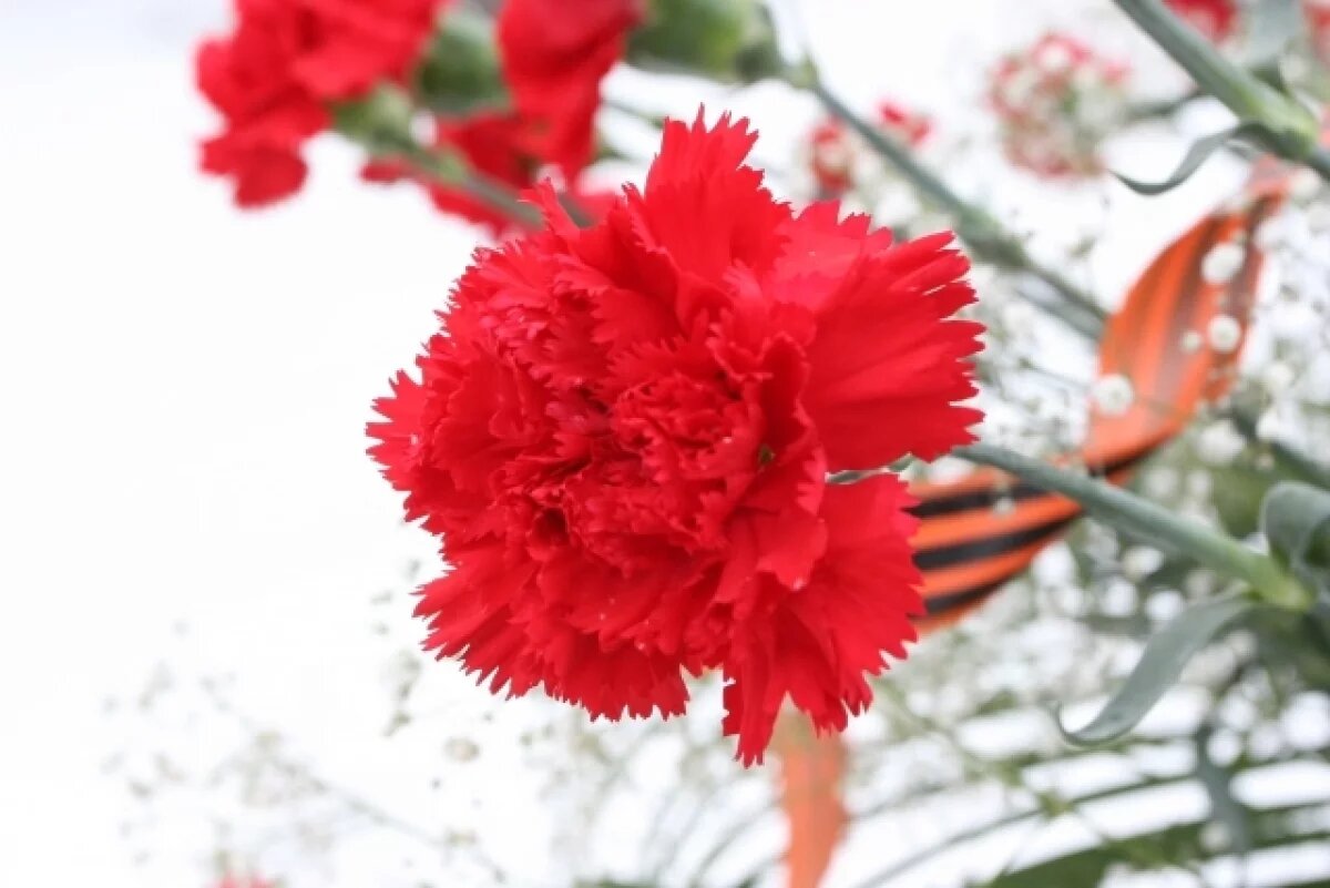    О гибели участника СВО Александра Меркулова сообщила администрация Камышина