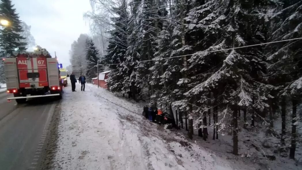     Источник: ГКУ РК «ОПС по Пряжинскому району»