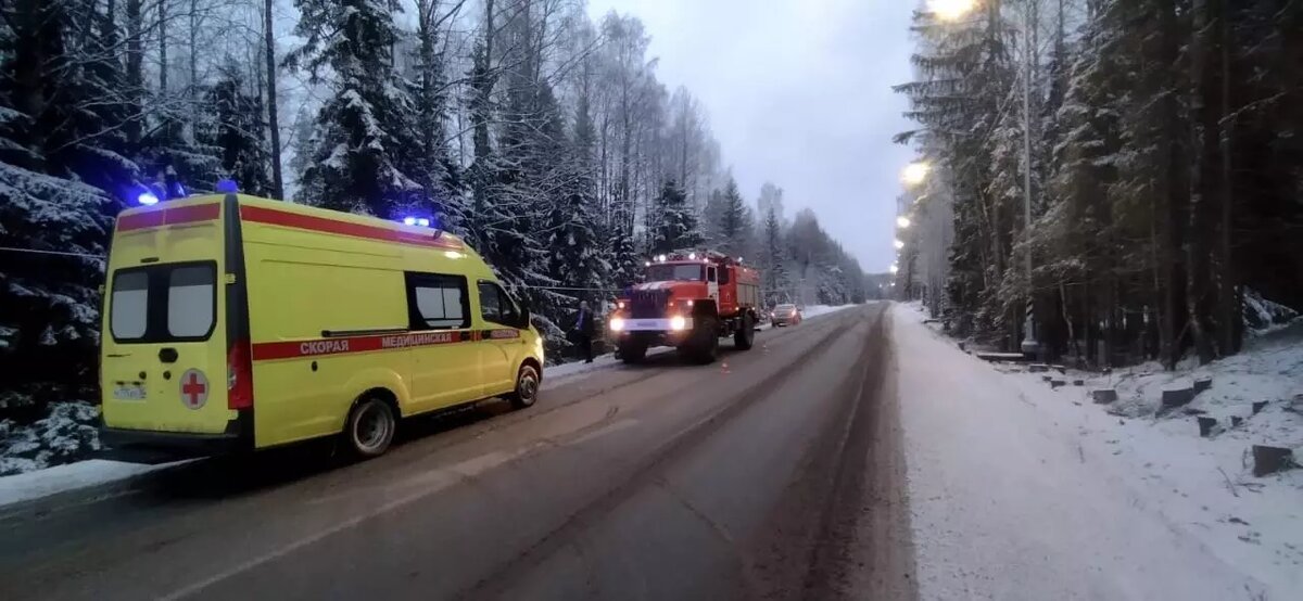     Источник: ГКУ РК "ОПС по Пряжинскому району"