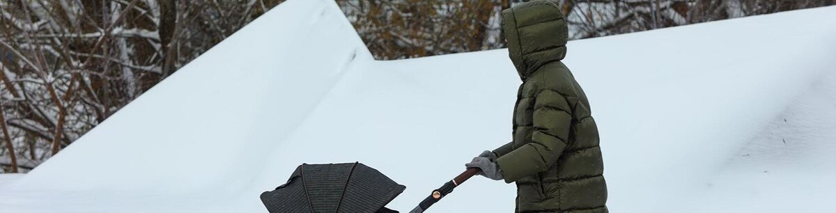    Фото: Антон Вергун