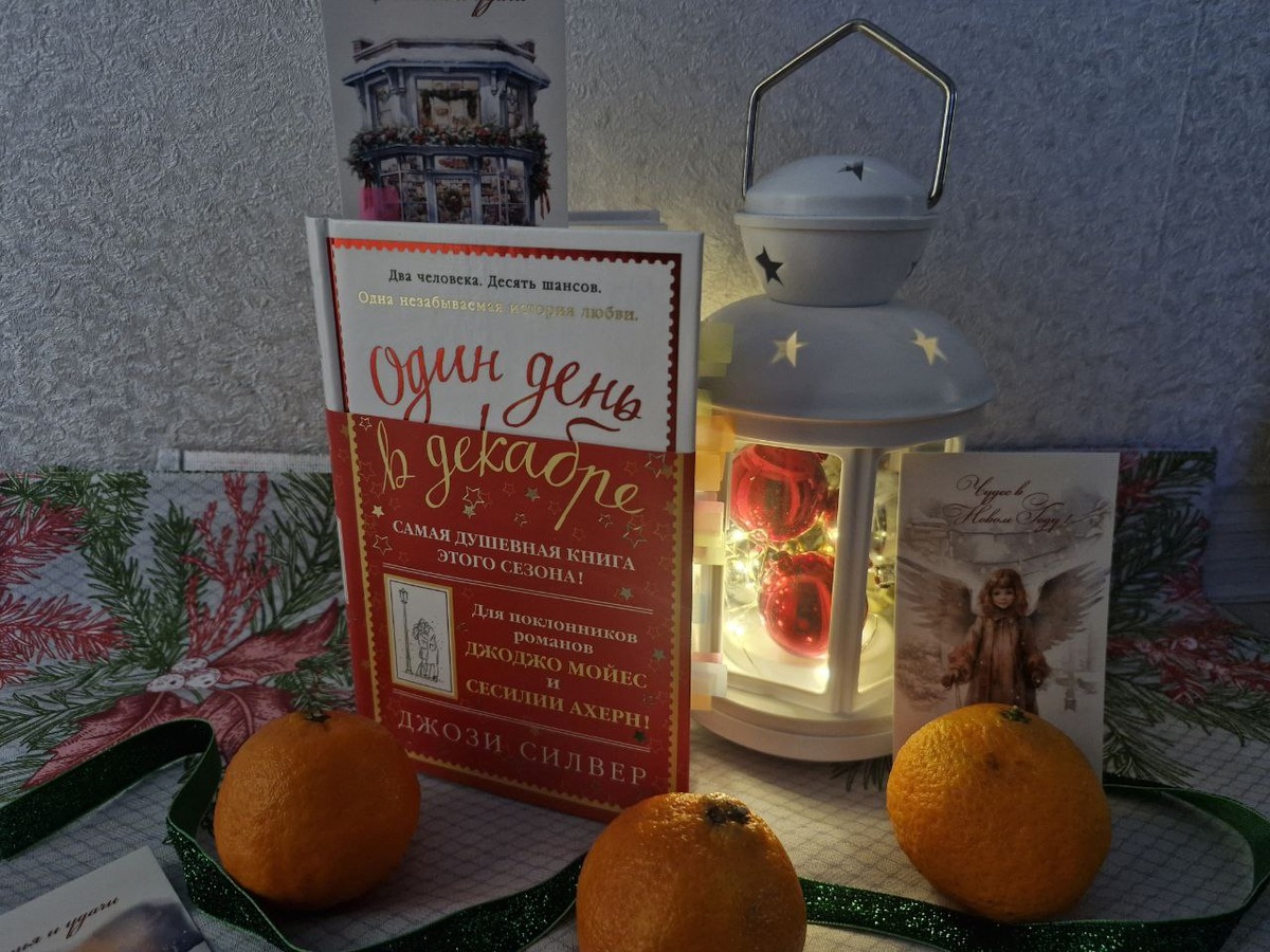 Один День В Декабре - Джози Сильвер