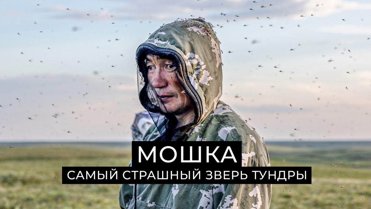 Фото: Андрей Ткачёв/«Ямал-Медиа»