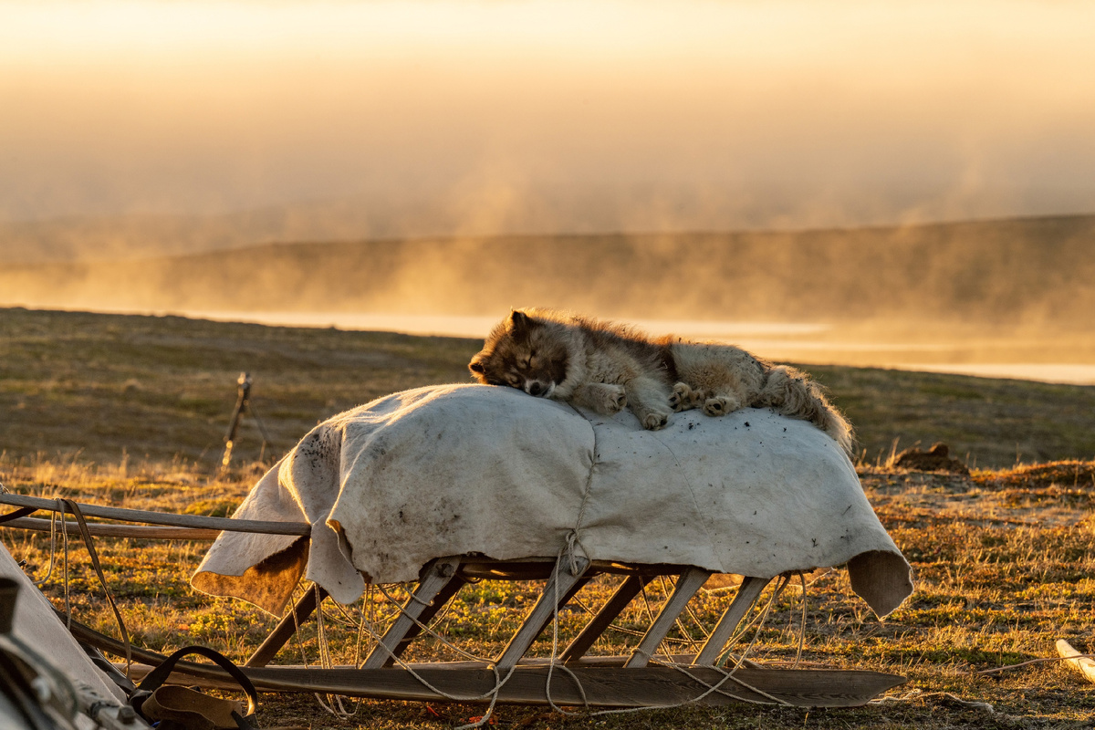 Фото предоставлено пресс-службой губернатора ЯНАО