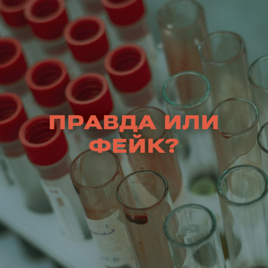 Фото: Unsplash/Mostafa Jamei