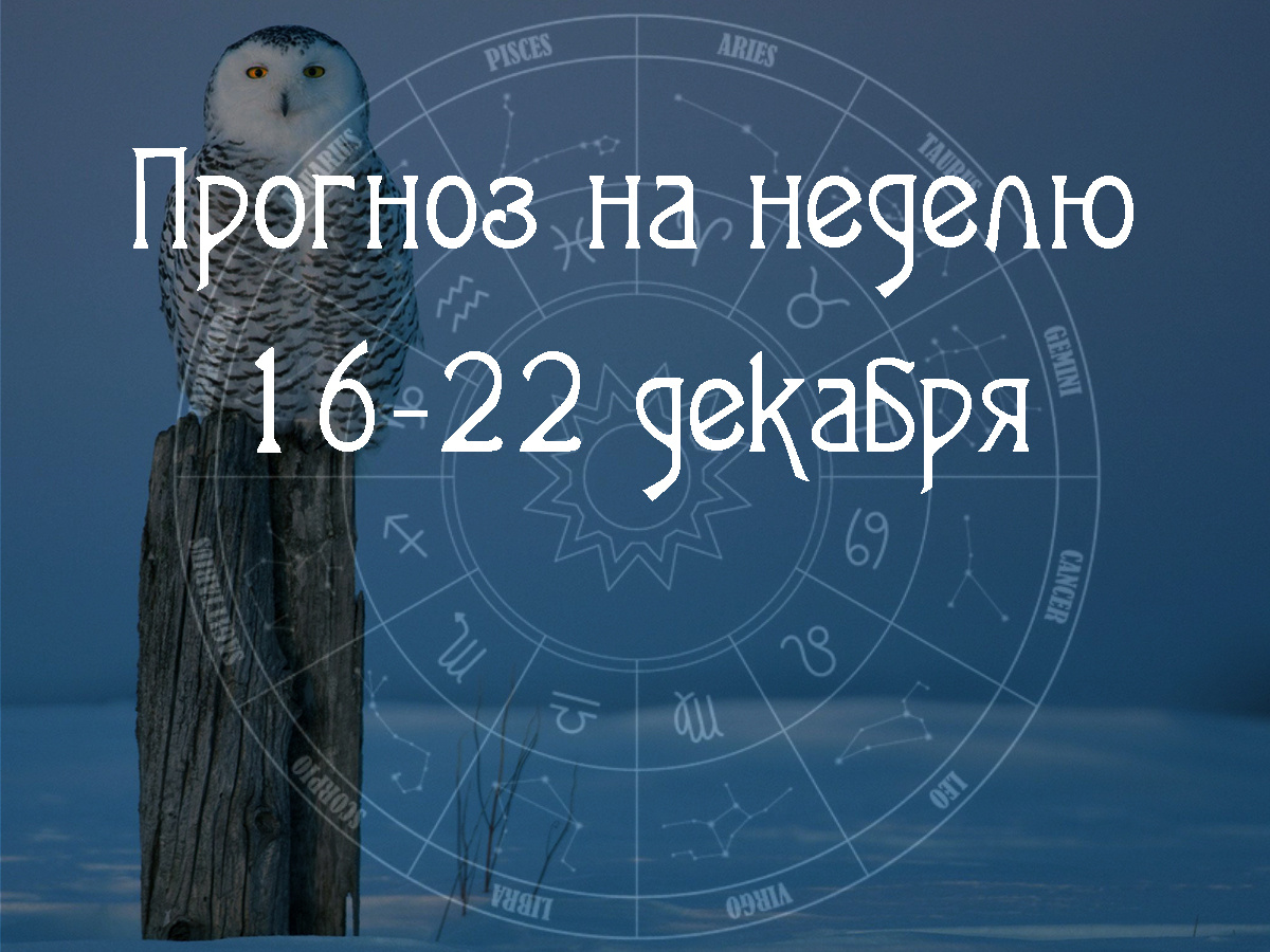 Астрологический прогноз на 16 – 22 декабря 2024 года
