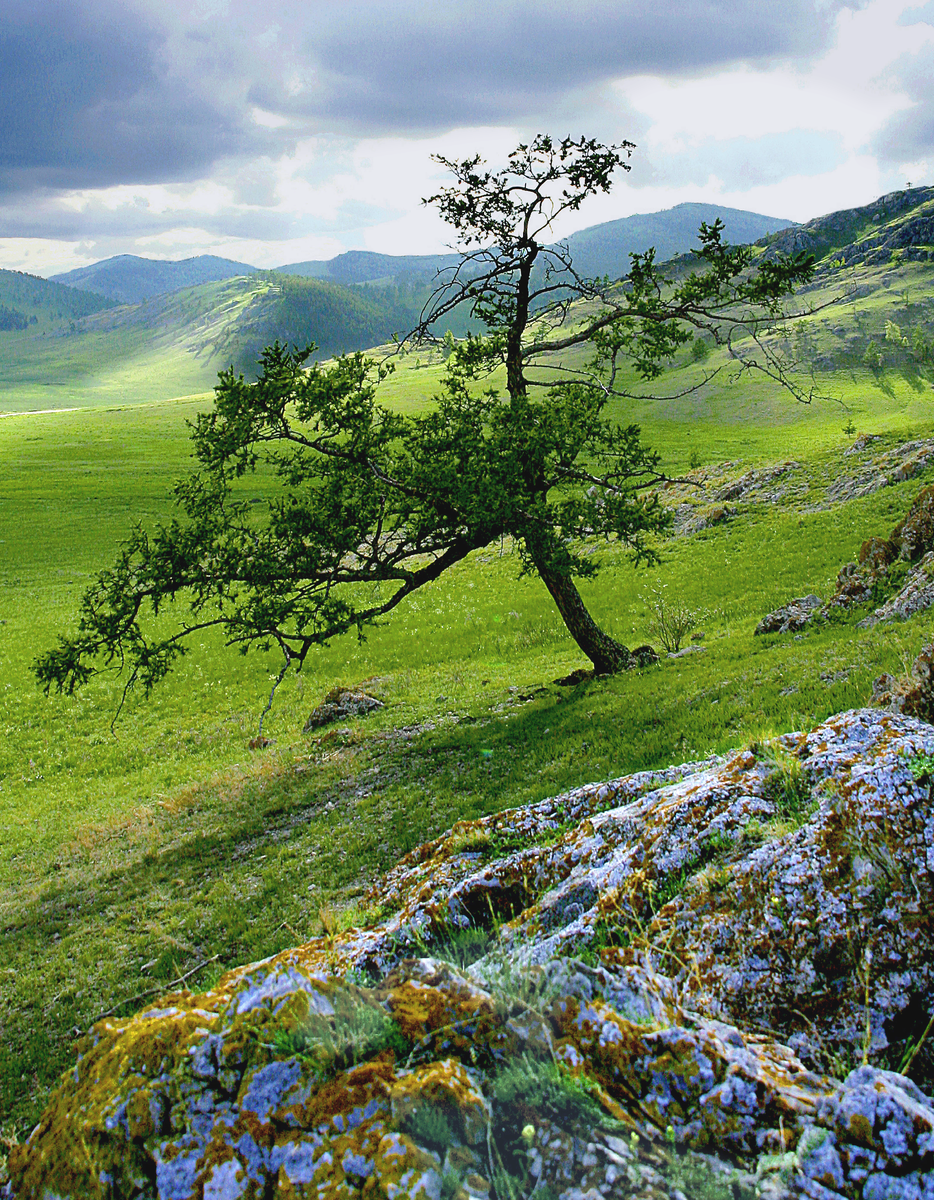 Фотография, стихотворение Василия Глуцкого