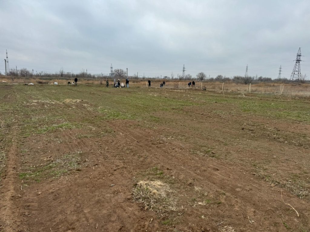     На новой территории приюта для животных «Любимки» появилась аллея жёлтой акации
