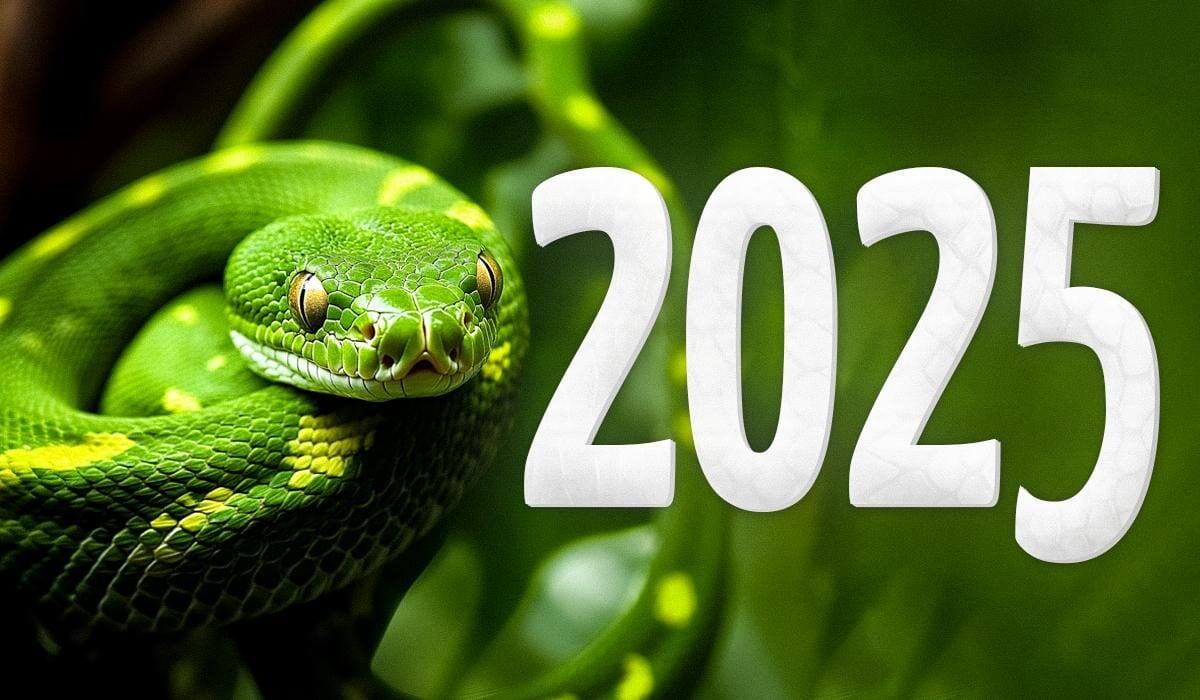 2025 год для каждого знака. 2025 год для каждого знака. 2025 год для каждого знака. 2025 год для каждого знака. 2025 год для каждого знака.