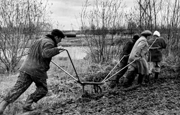 Фото из открытых источников.