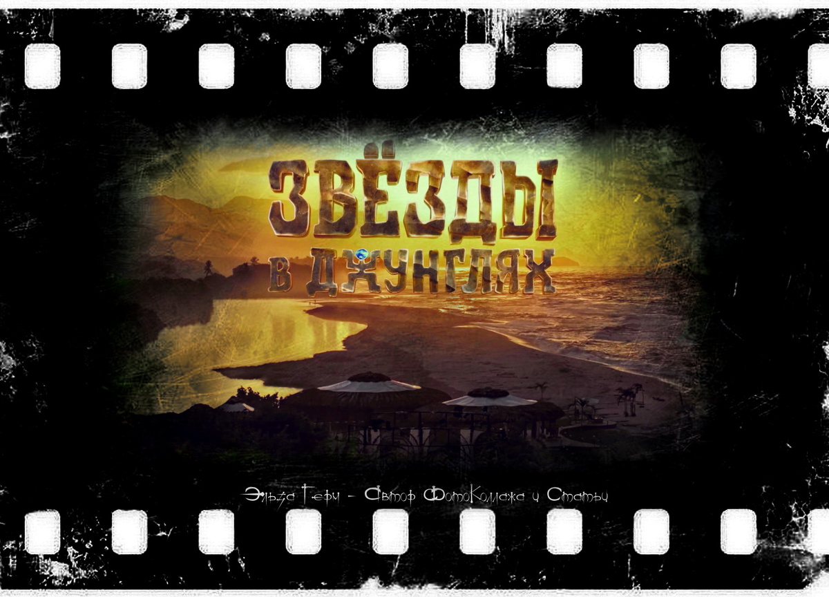 ФотоКоллаж Эльза Герм. "Звёзды в джунглях", реалити-шоу, 2024 г.