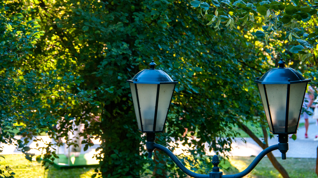    Svetlana Vozmilova/Global Look Press/Globallookpress