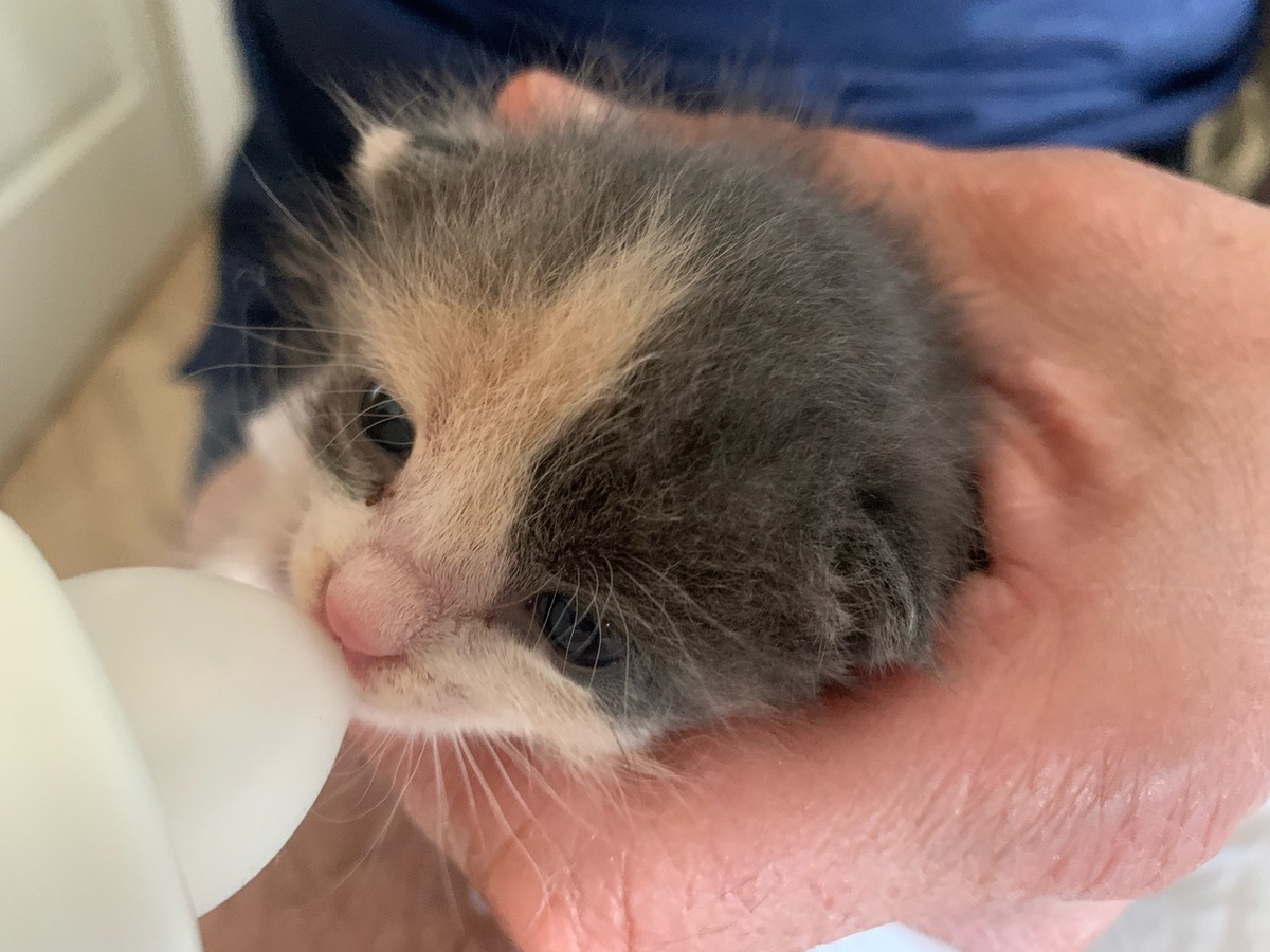 Ева только открыла глазки