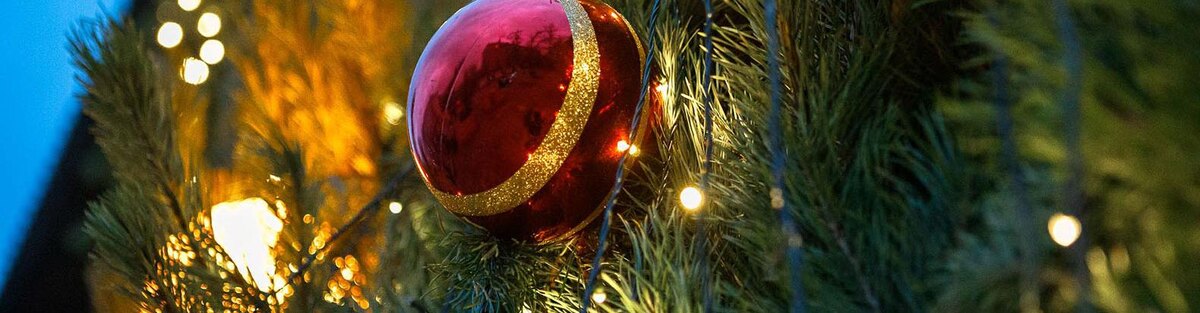    Фото: Антон Вергун