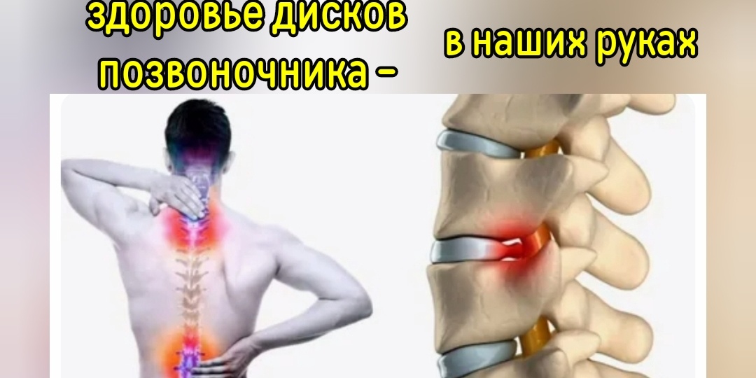 Как спасти хрящи в позвоночнике и суставах ног? Ведь они - основа здоровья