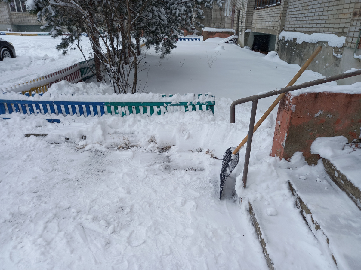 Фото автора. Лопата тоже автора. И подъезда автора. Снег общий.