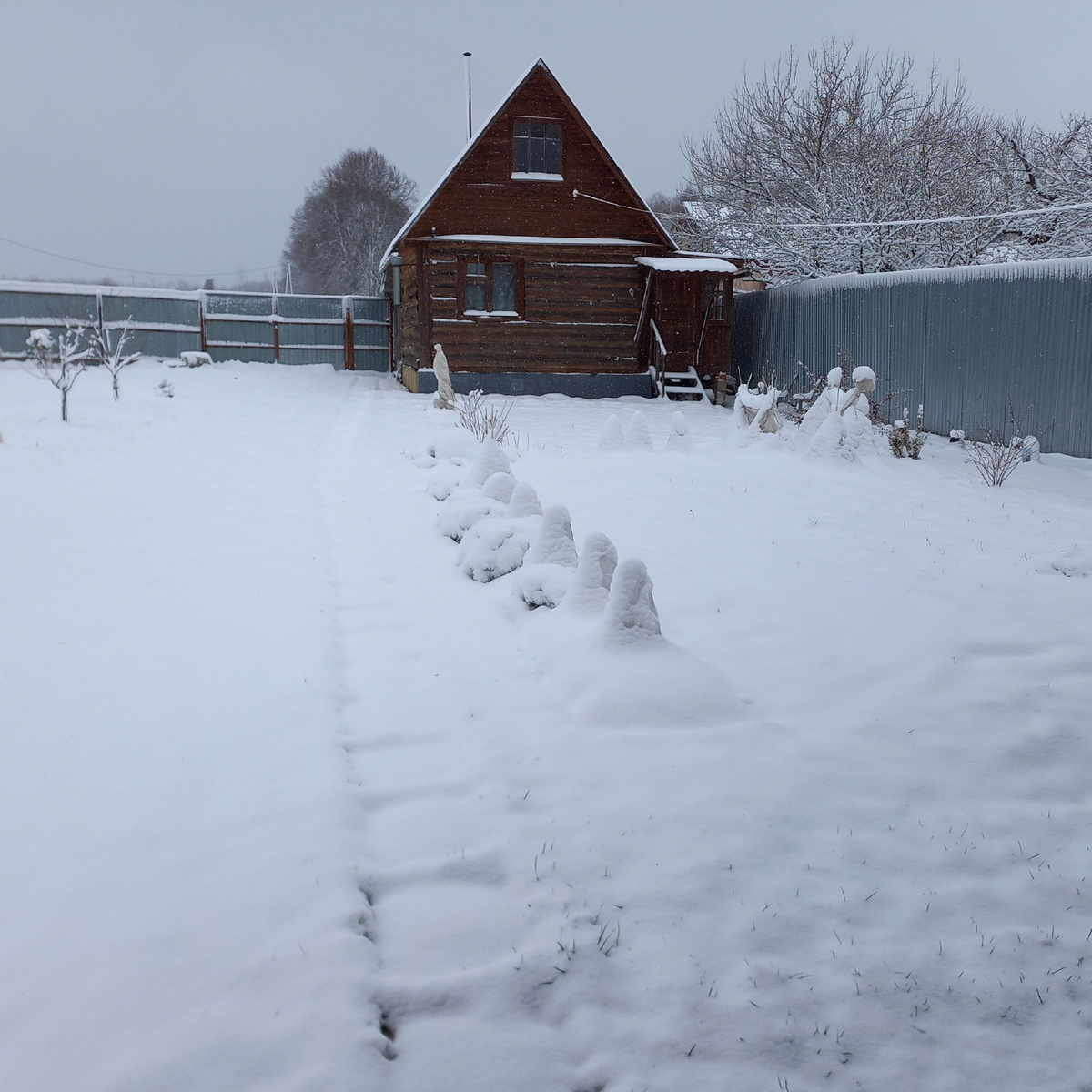 Ноябрь 2024г.