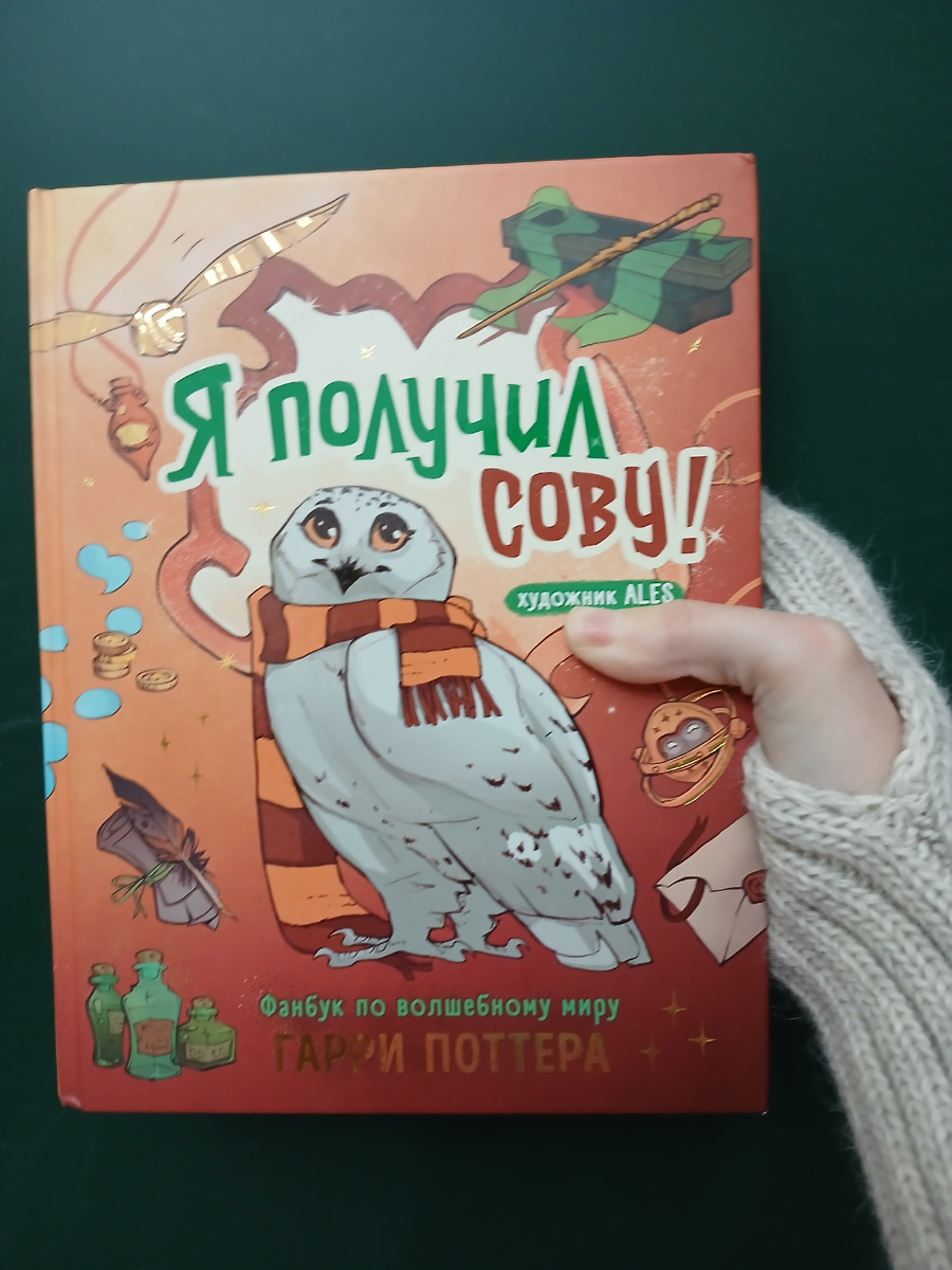 Книга "Я получил сову!"