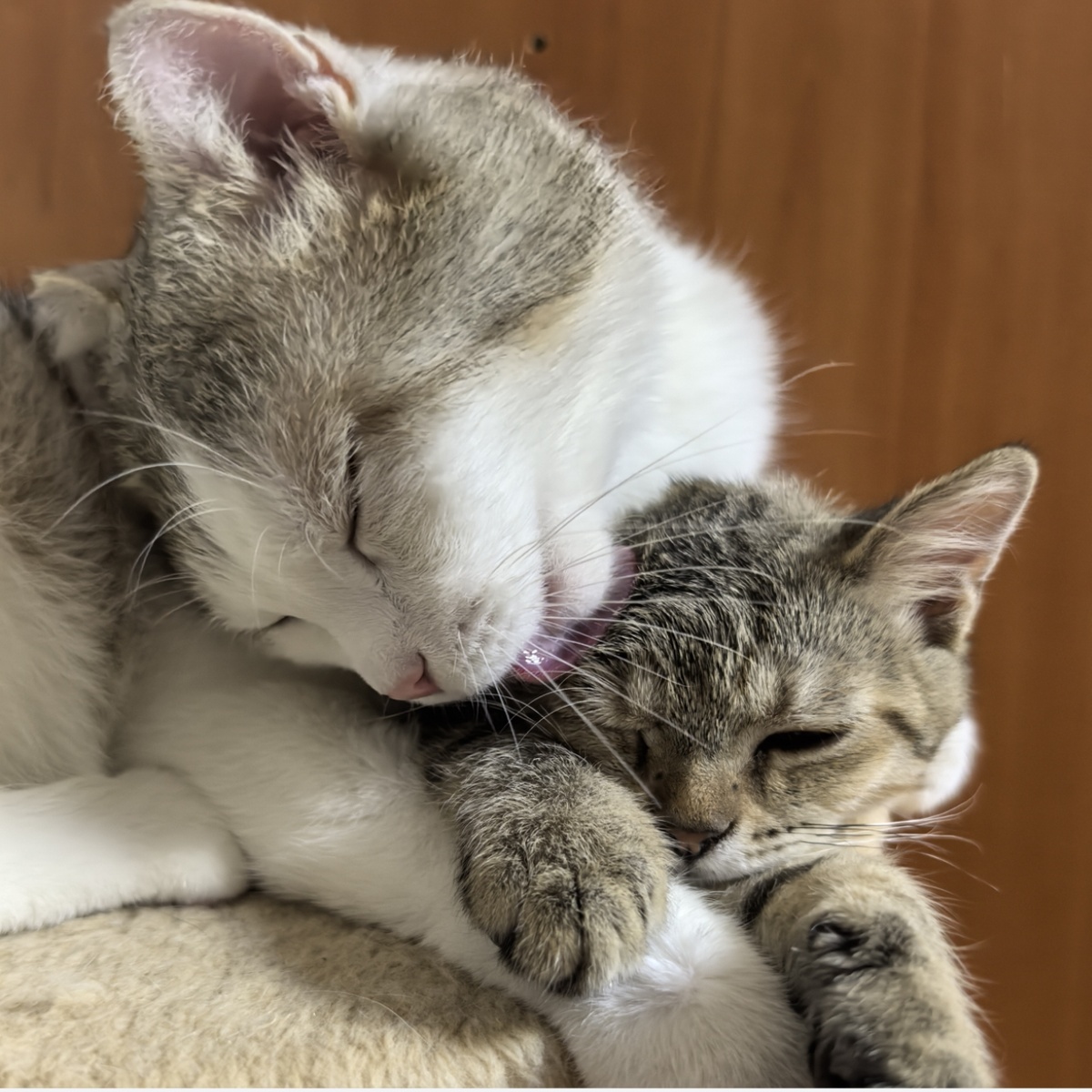 Марсель и Милан