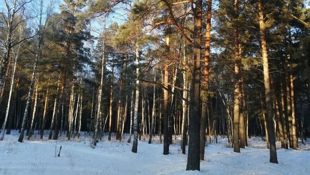     Источник: prmira.ru