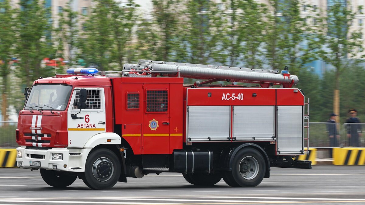    Фото: Petrov Sergey/globallookpress.com