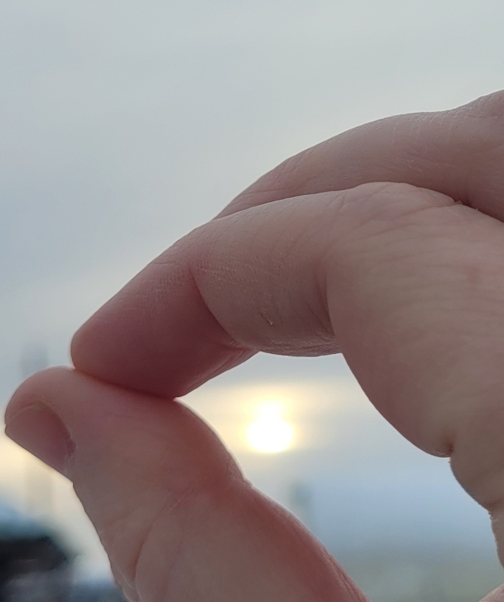 Ловлю редкое солнышко! 