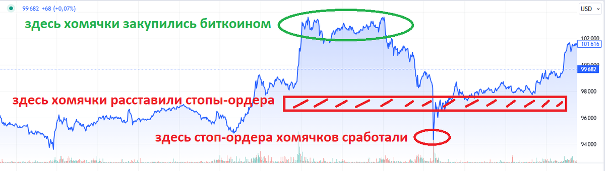 Схема поедания хомячков акулами.