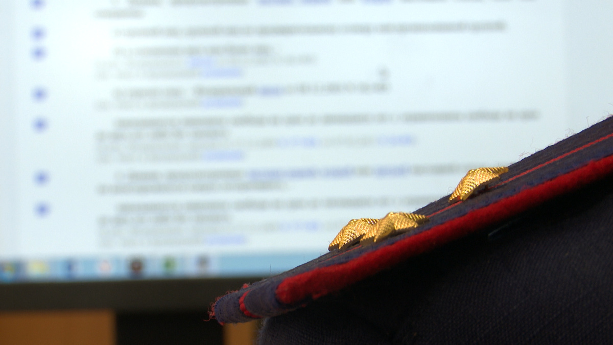    Во дворе многоквартирного дома в Уфе на женщину с ребенком напала стая бездомных собак