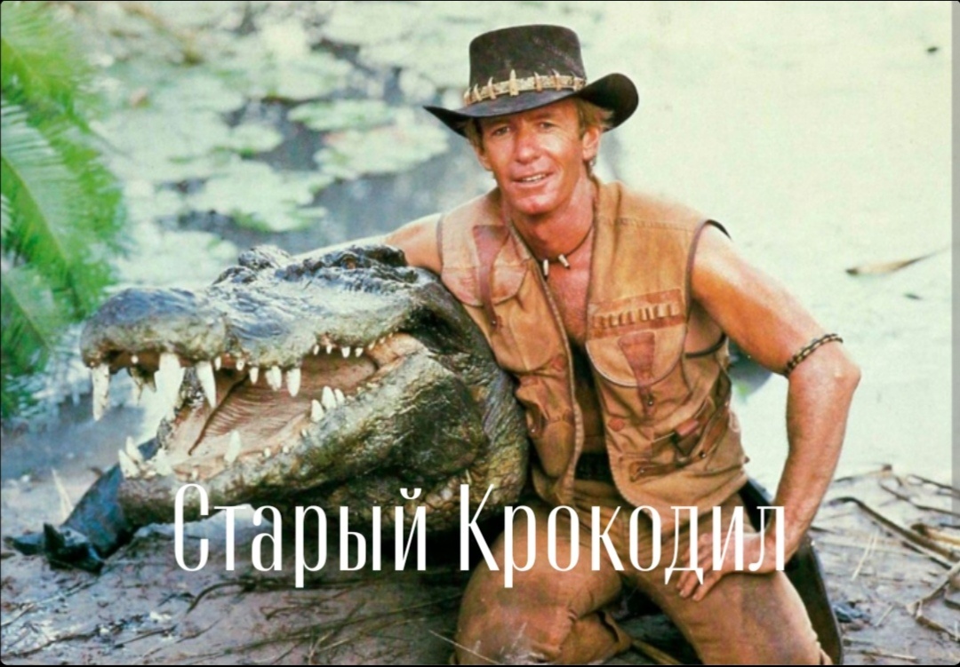 Данди по прозвищу Крокодил! 