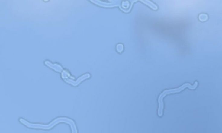 Изображение с сайта https://fi.pinterest.com/