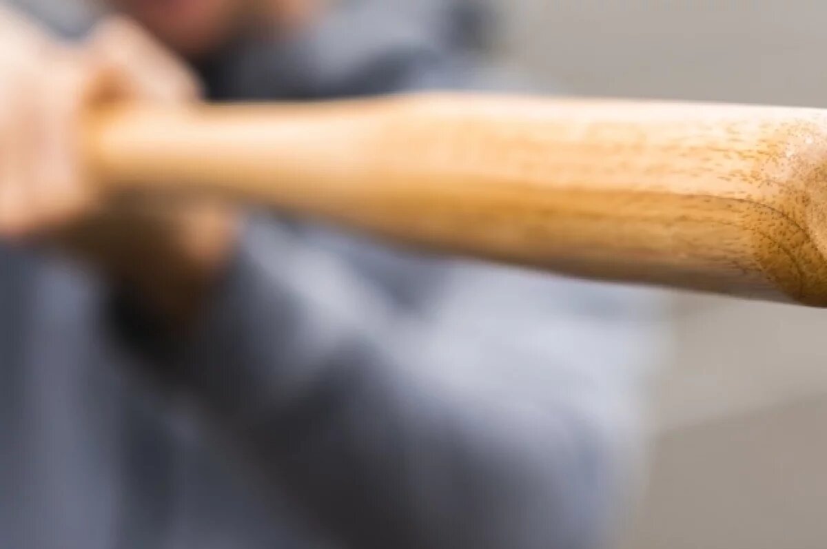    Мужчину, попытавшегося навести порядок, избили его же битой под Волгоградом