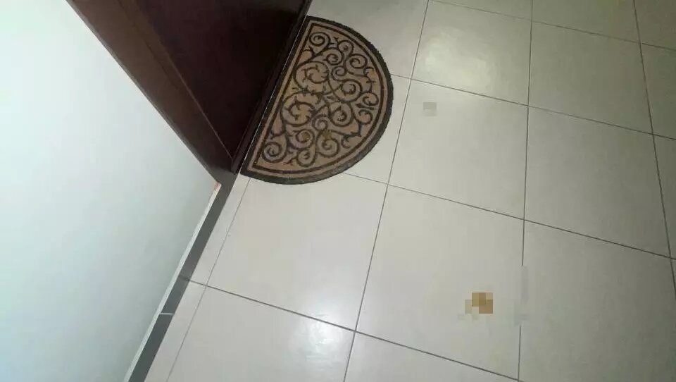 Подросток измазал фекалиями площадку перед квартирой, в которой зарегистрирована Екатерина Мизулина. Фото: База