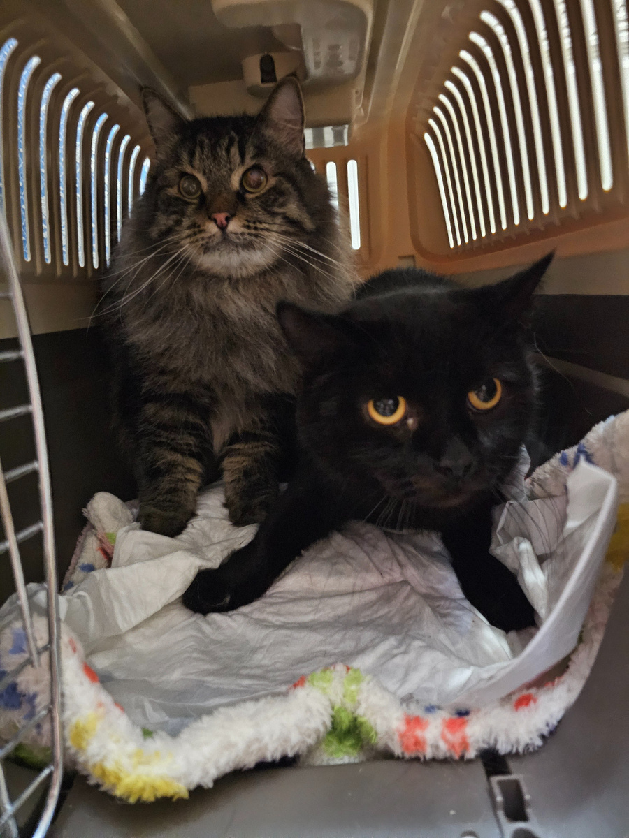 Фото автора. Ребята