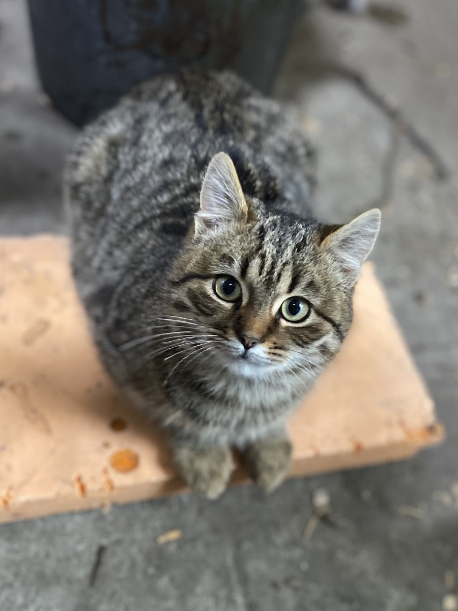 Фото автора 