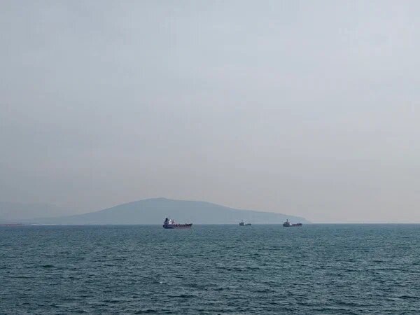    Фото: Юрий Серебренников/BFM Кубань