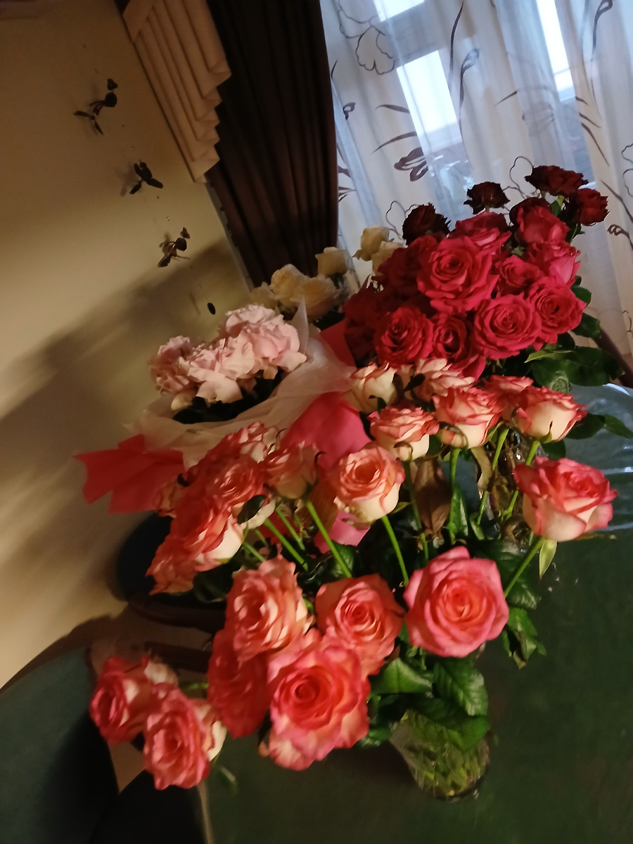 Фото 05.12.2024г.