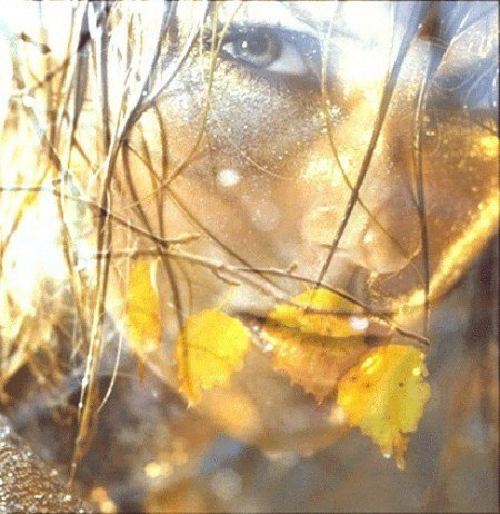 фото из инета