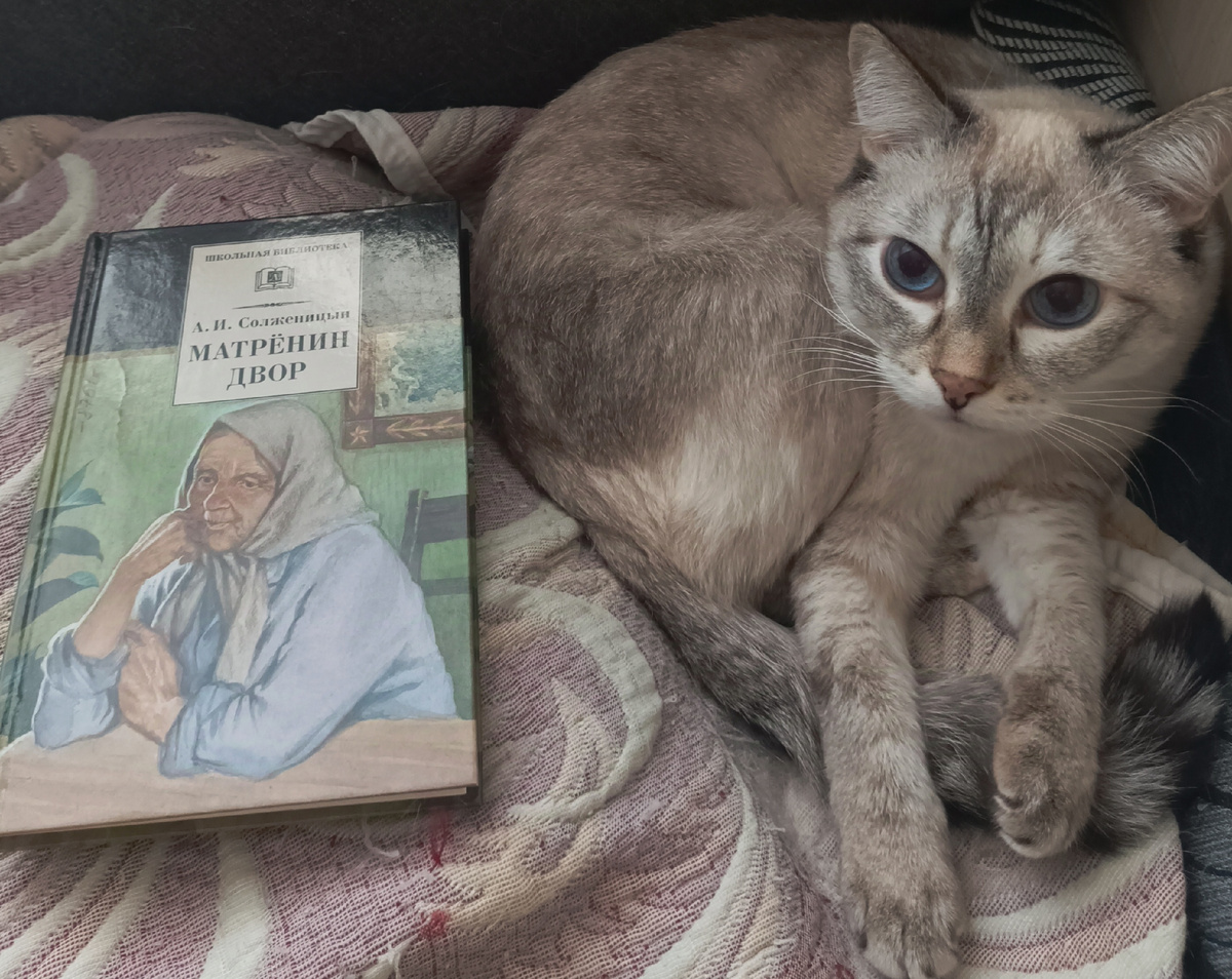 Сборник рассказов Солженицина из школьной библиотеки, в который входит и читаемый сегодня, представляет Дженька. 