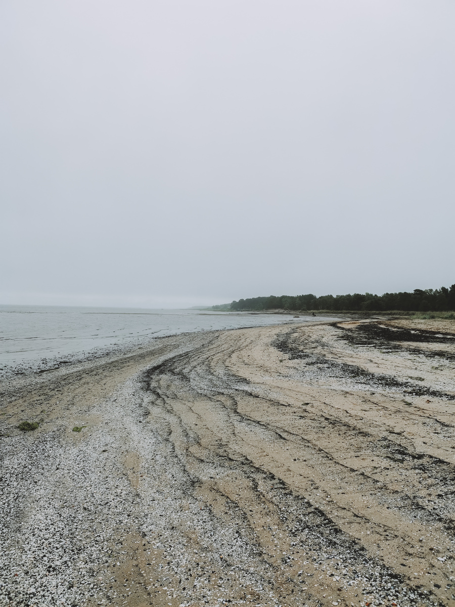 Белое море, Двинская губа. Г. Северодвинск, о. Ягры