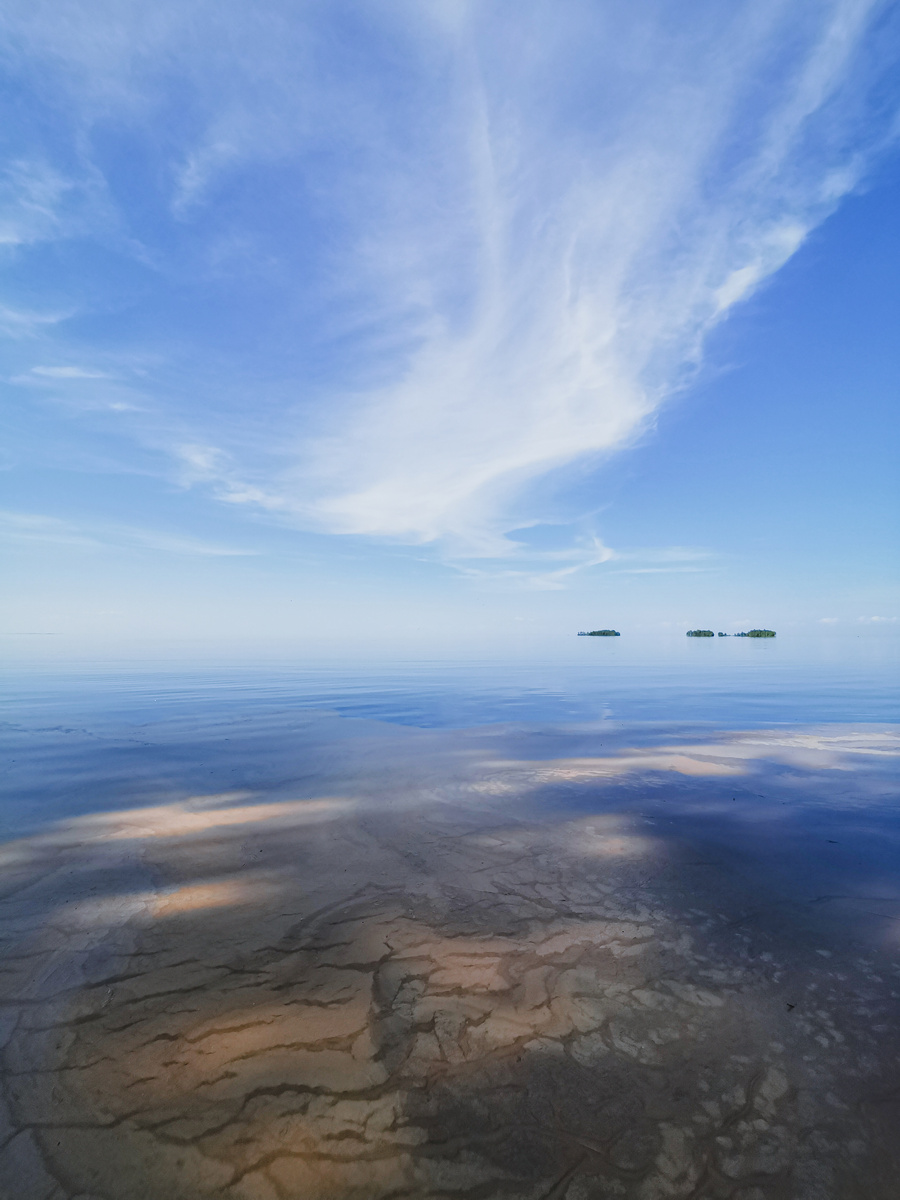 Онежское озеро. Всё в пыльце от сосны :)