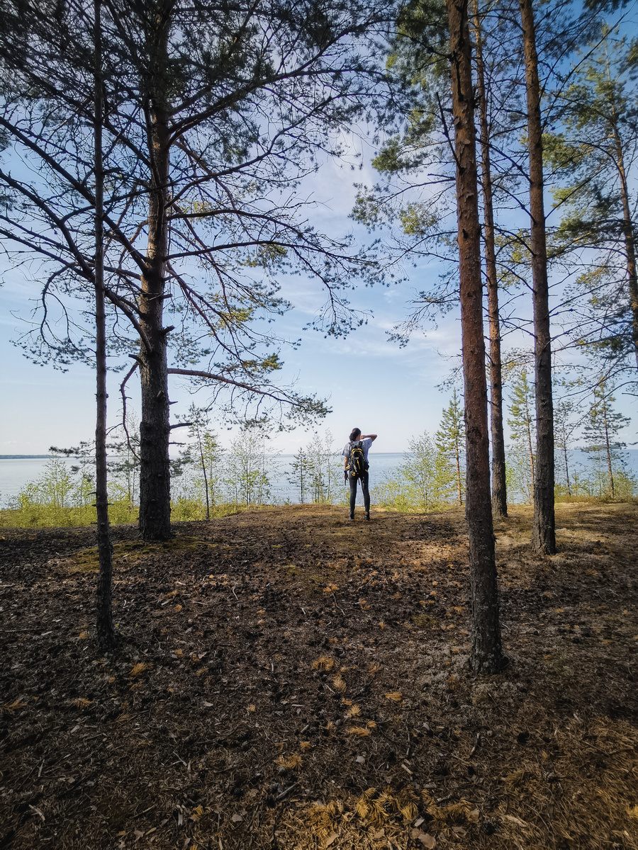 На берегу Онежского озера