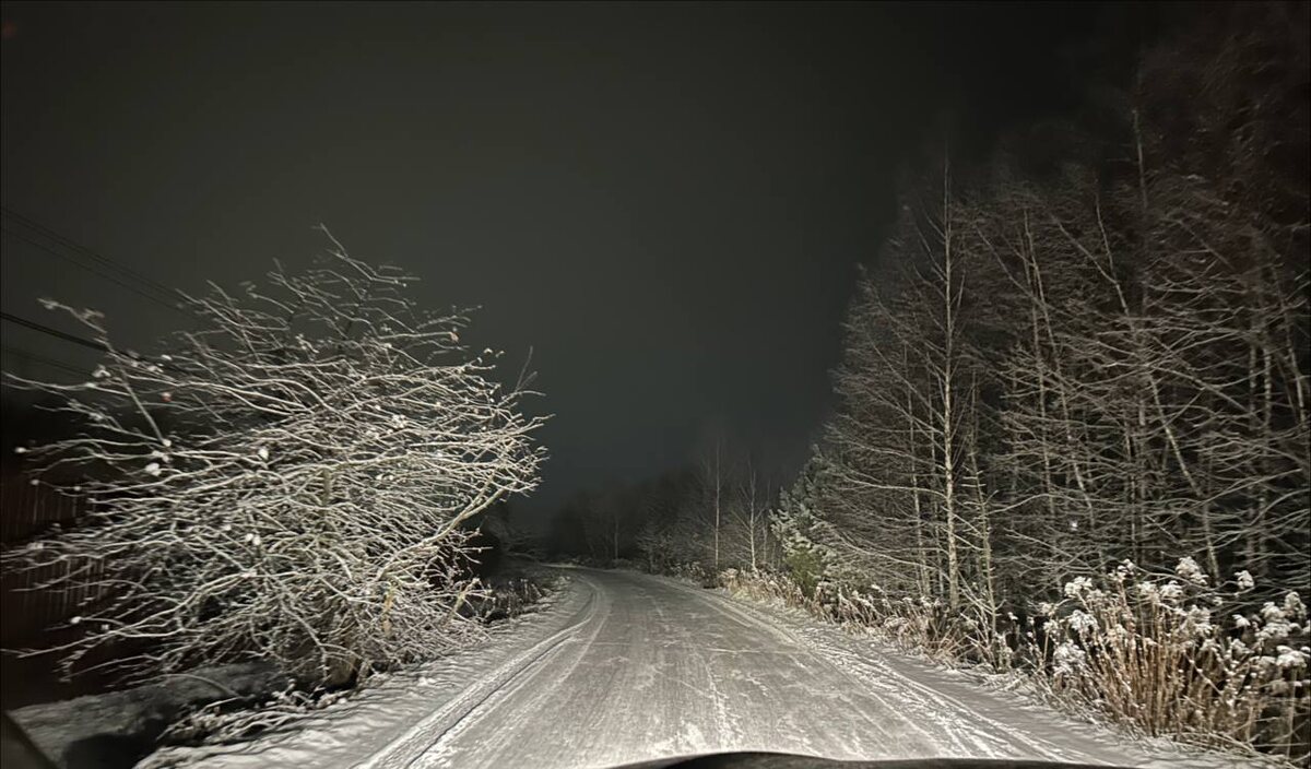 фото с тг Е Иолтуховской