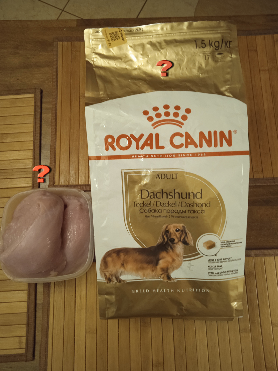 Правильная пища для собак, что выбрать