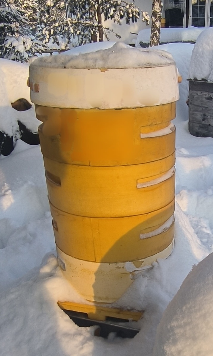 Зимовка карники на улице 2023-2024.