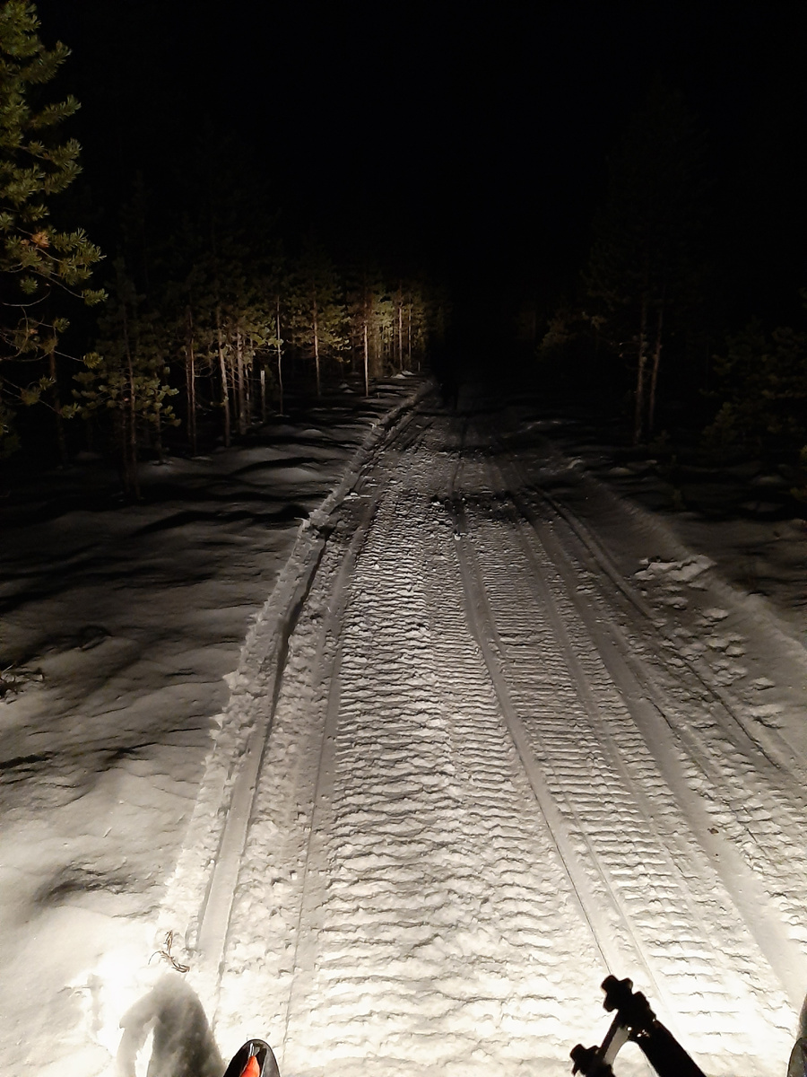 Лесная дорога